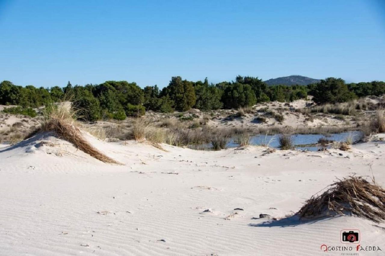 Villa Casa Vacanza Le Dune à SantʼAnna Arresi Extérieur photo